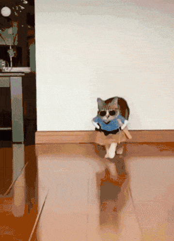 tutorial-gif